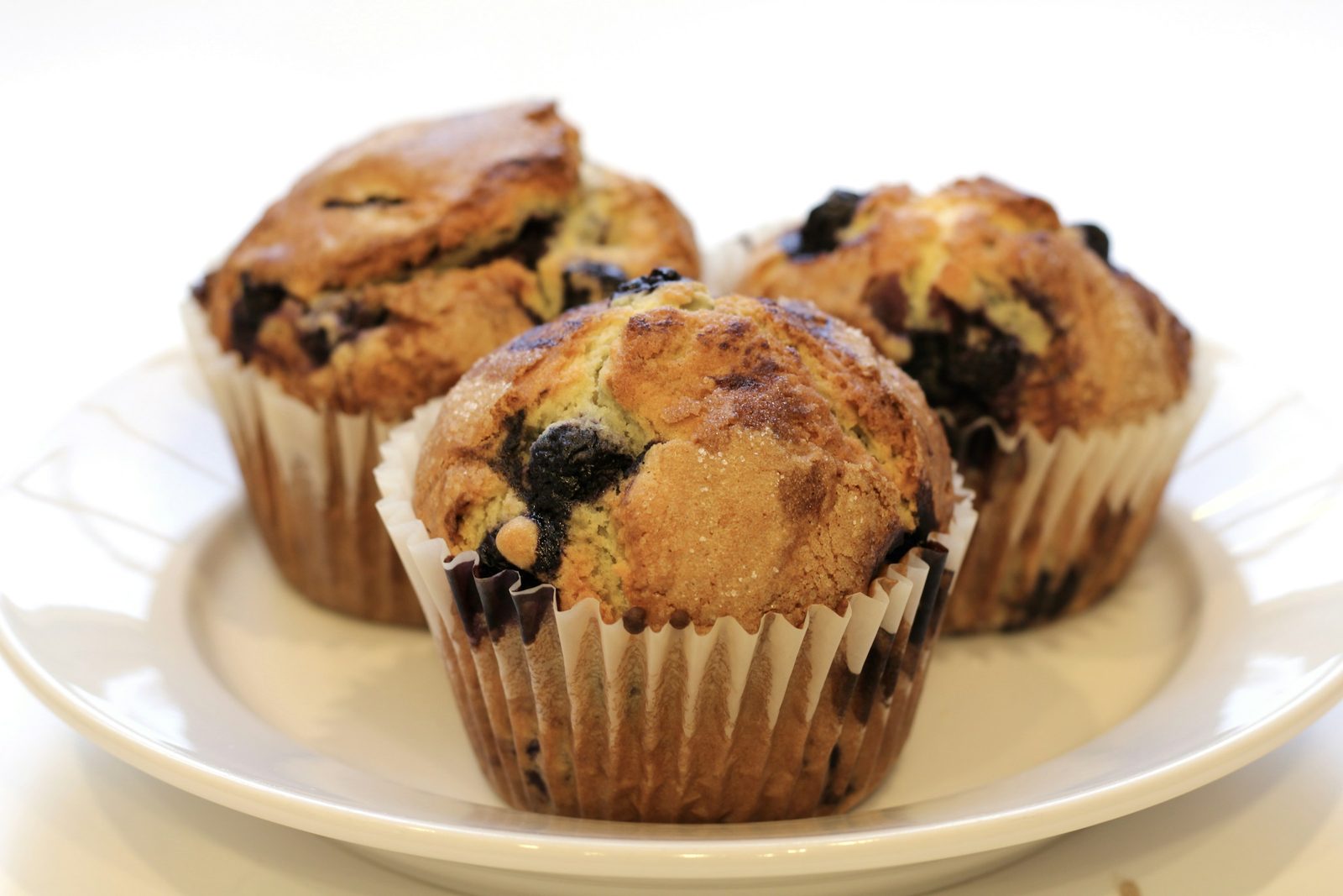 Blueberry Muffins, brown cupcakes on white ceramic plate